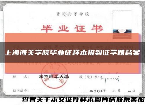 上海海关学院毕业证样本报到证学籍档案缩略图