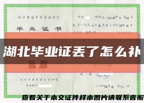 湖北毕业证丢了怎么补缩略图