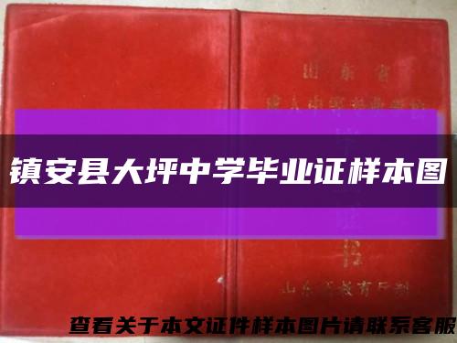 镇安县大坪中学毕业证样本图缩略图