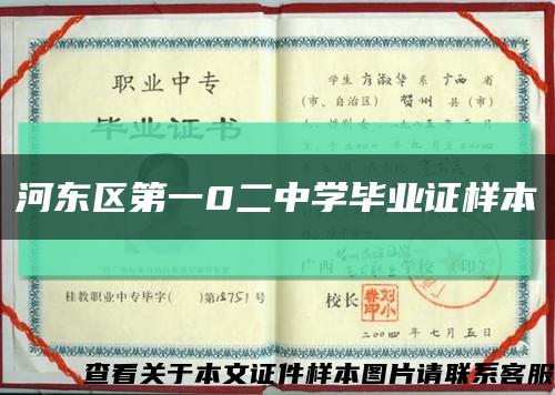 河东区第一0二中学毕业证样本缩略图