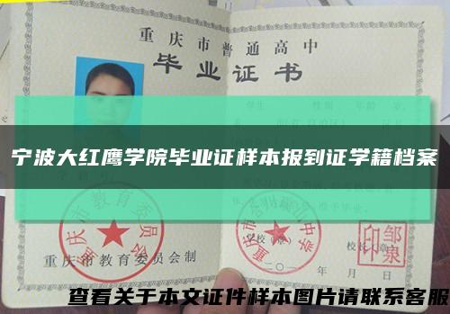 宁波大红鹰学院毕业证样本报到证学籍档案缩略图