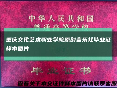 重庆文化艺术职业学院原创音乐社毕业证样本图片缩略图
