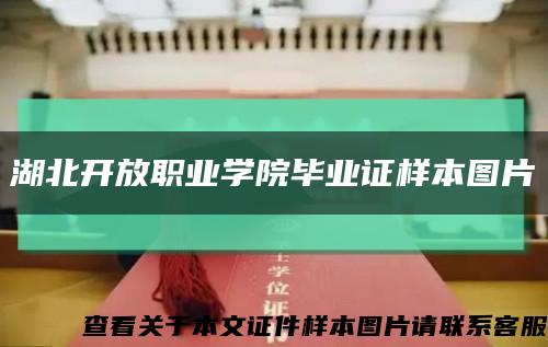 湖北开放职业学院毕业证样本图片缩略图