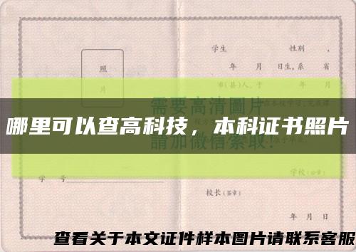哪里可以查高科技，本科证书照片缩略图