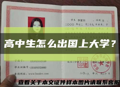 高中生怎么出国上大学？缩略图