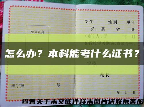 怎么办？本科能考什么证书？缩略图