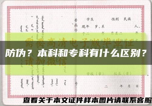 防伪？本科和专科有什么区别？缩略图