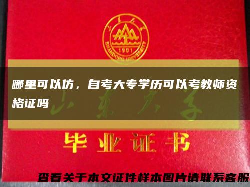 哪里可以仿，自考大专学历可以考教师资格证吗缩略图