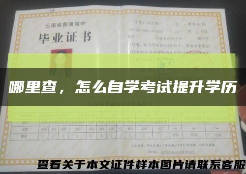 哪里查，怎么自学考试提升学历缩略图