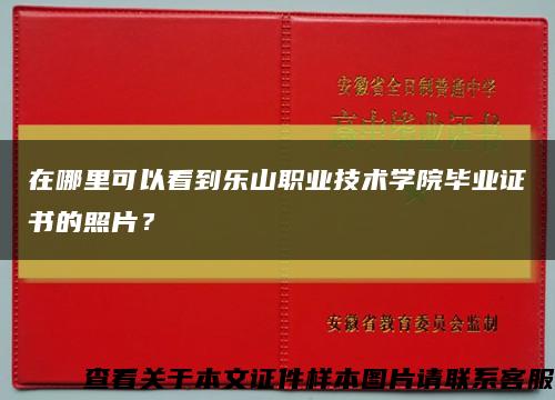 在哪里可以看到乐山职业技术学院毕业证书的照片？缩略图