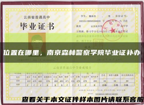 位置在哪里，南京森林警察学院毕业证补办缩略图