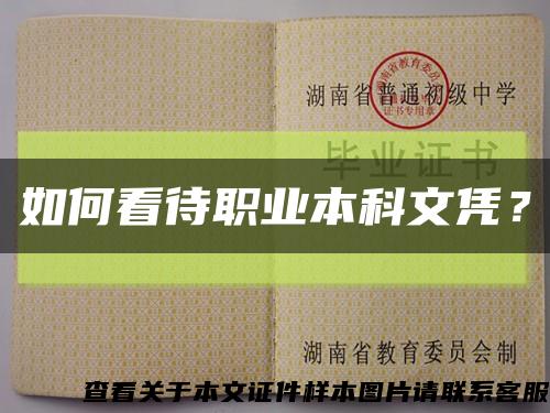 如何看待职业本科文凭？缩略图