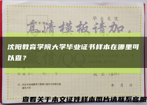 沈阳教育学院大学毕业证书样本在哪里可以查？缩略图