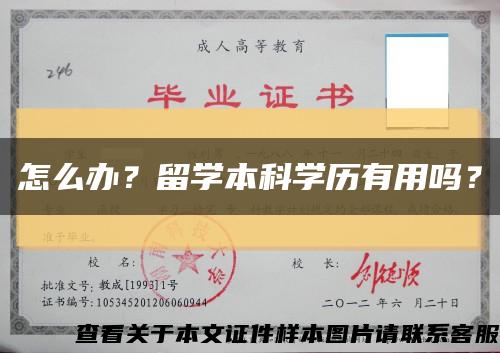 怎么办？留学本科学历有用吗？缩略图