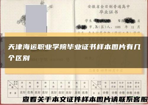 天津海运职业学院毕业证书样本图片有几个区别缩略图