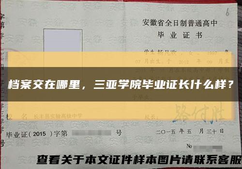 档案交在哪里，三亚学院毕业证长什么样？缩略图