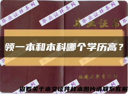 领一本和本科哪个学历高？缩略图