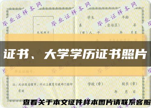 证书、大学学历证书照片缩略图