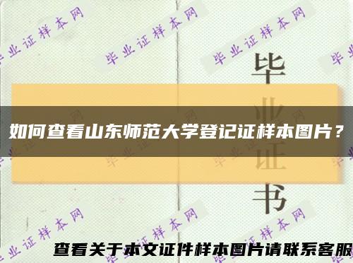 如何查看山东师范大学登记证样本图片？缩略图