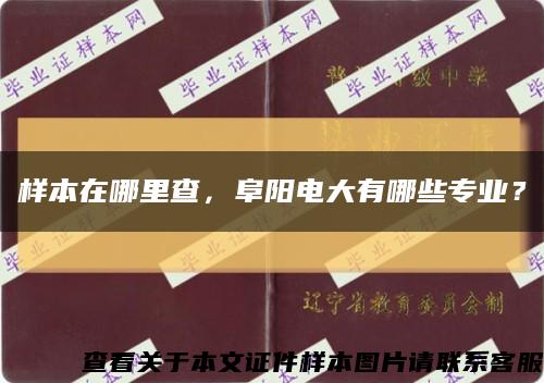 样本在哪里查，阜阳电大有哪些专业？缩略图