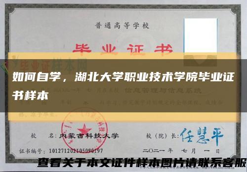 如何自学，湖北大学职业技术学院毕业证书样本缩略图