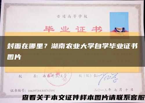 封面在哪里？湖南农业大学自学毕业证书图片缩略图