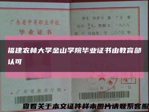 福建农林大学金山学院毕业证书由教育部认可缩略图