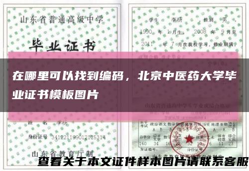 在哪里可以找到编码，北京中医药大学毕业证书模板图片缩略图
