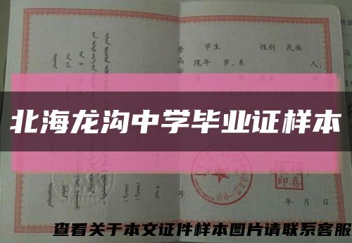 北海龙沟中学毕业证样本缩略图