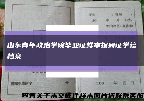 山东青年政治学院毕业证样本报到证学籍档案缩略图