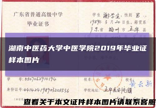 湖南中医药大学中医学院2019年毕业证样本图片缩略图