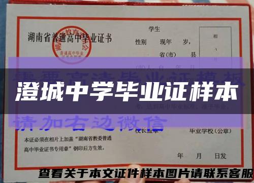 澄城中学毕业证样本缩略图