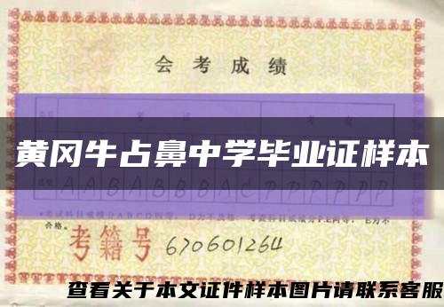 黄冈牛占鼻中学毕业证样本缩略图