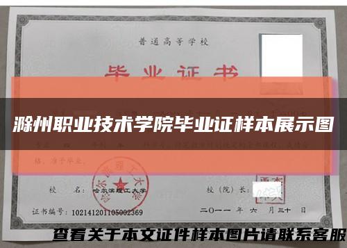 滁州职业技术学院毕业证样本展示图缩略图