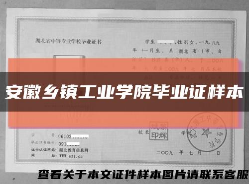 安徽乡镇工业学院毕业证样本缩略图