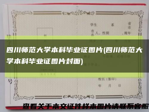 四川师范大学本科毕业证图片(四川师范大学本科毕业证图片封面)缩略图
