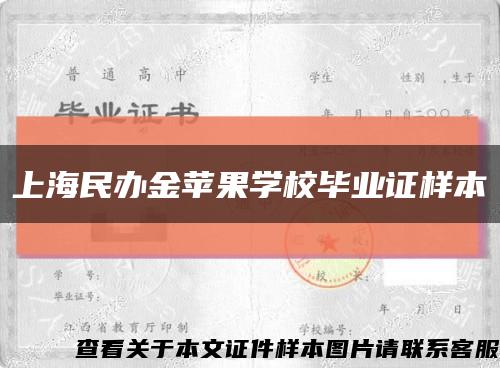 上海民办金苹果学校毕业证样本缩略图