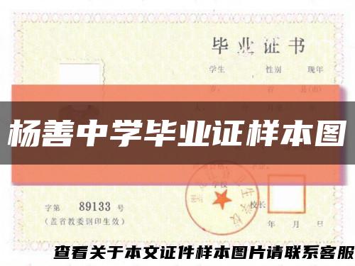杨善中学毕业证样本图缩略图