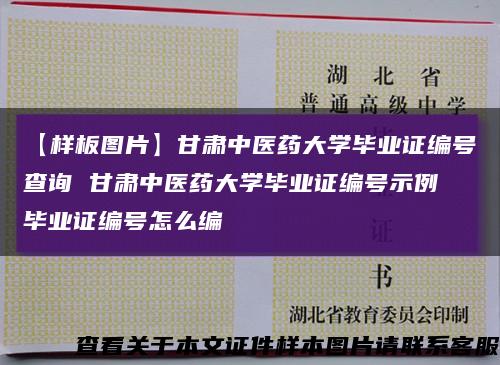 【样板图片】甘肃中医药大学毕业证编号查询 甘肃中医药大学毕业证编号示例 毕业证编号怎么编缩略图