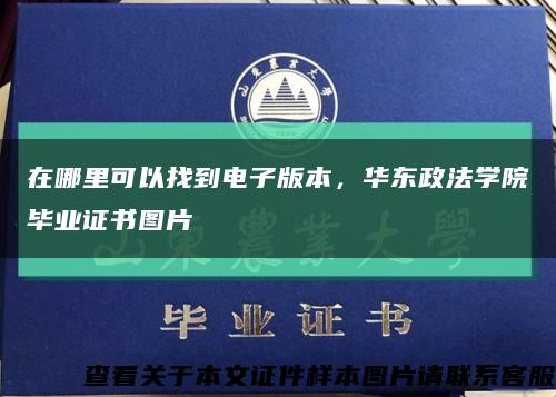 在哪里可以找到电子版本，华东政法学院毕业证书图片缩略图