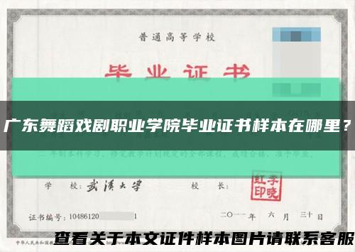 广东舞蹈戏剧职业学院毕业证书样本在哪里？缩略图