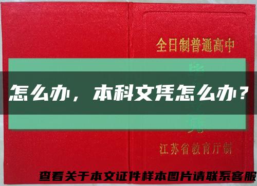 怎么办，本科文凭怎么办？缩略图