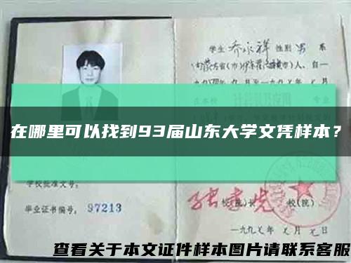 在哪里可以找到93届山东大学文凭样本？缩略图