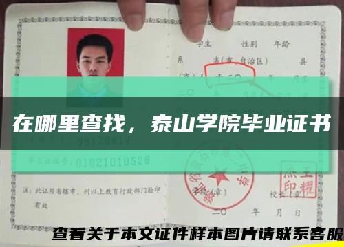 在哪里查找，泰山学院毕业证书缩略图