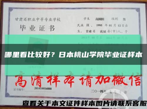 哪里看比较好？日本桃山学院毕业证样本缩略图