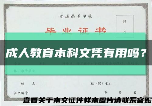 成人教育本科文凭有用吗？缩略图