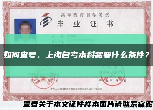 如何查号，上海自考本科需要什么条件？缩略图