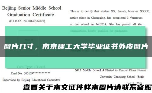 图片几寸，南京理工大学毕业证书外皮图片缩略图