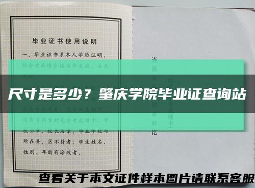 尺寸是多少？肇庆学院毕业证查询站缩略图