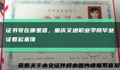 证书号在哪里查，重庆交通职业学院毕业证看起来像缩略图